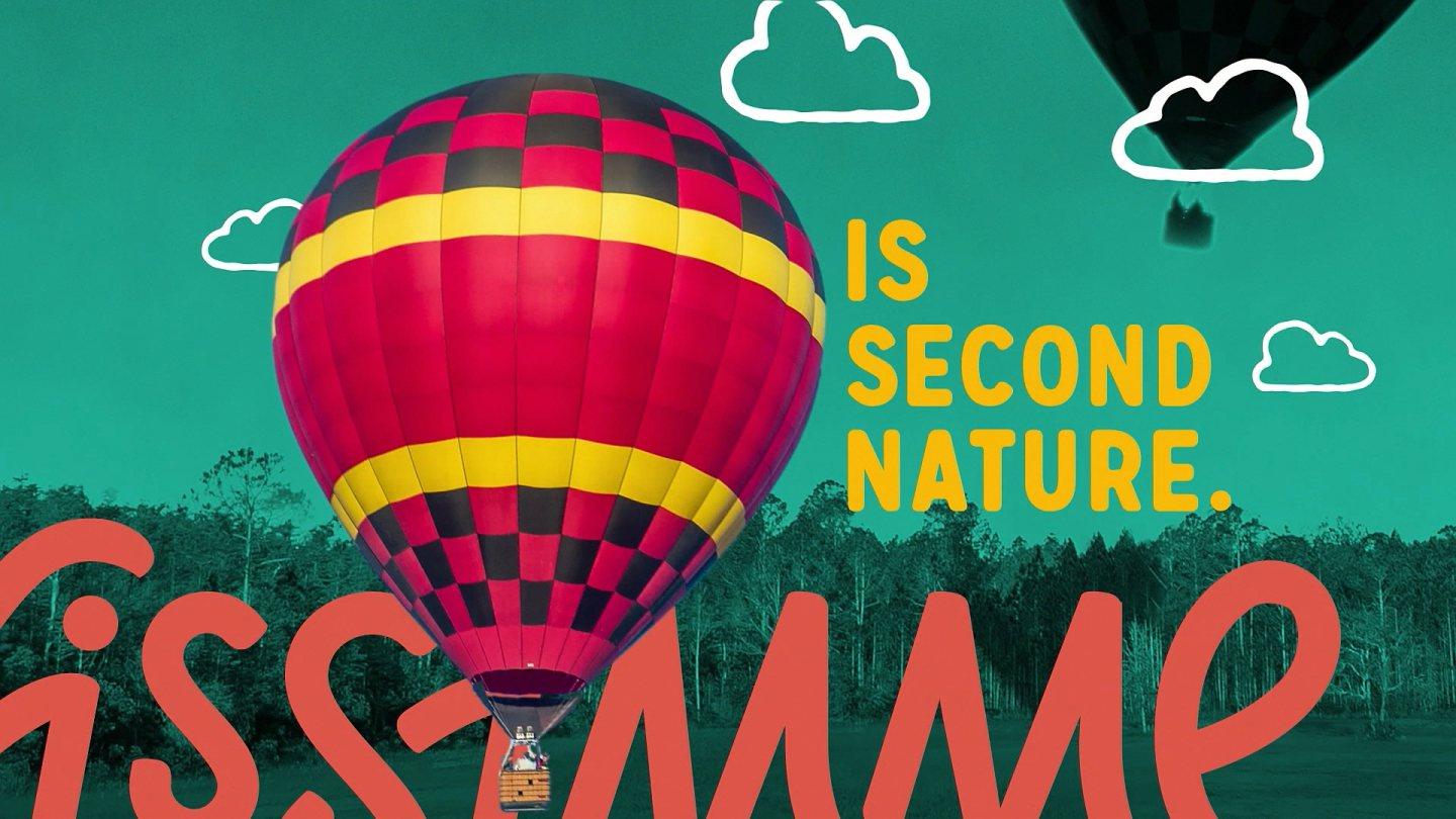 Experience Kissimmee: Experience Kissimmee