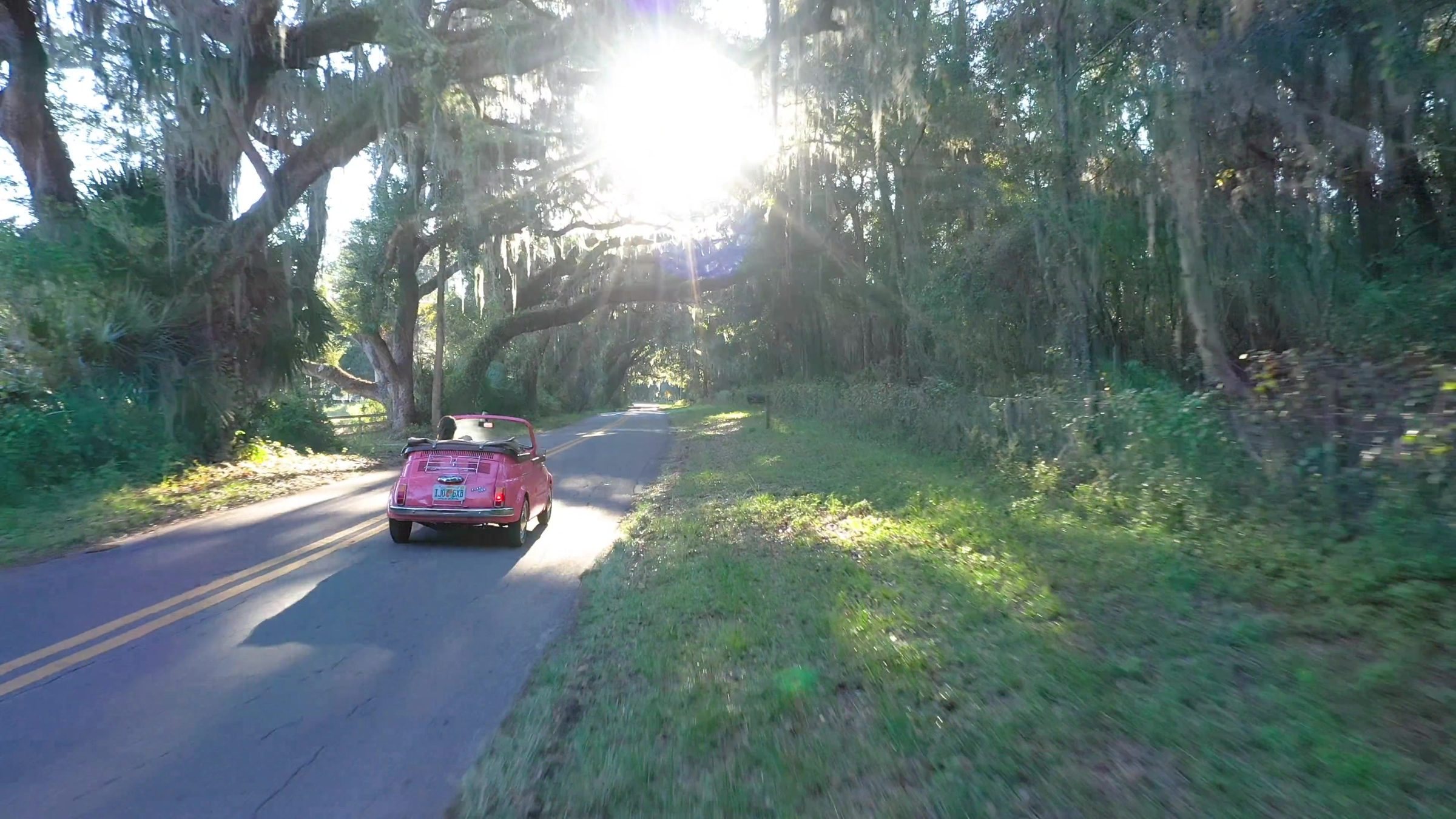 A pink Fiat 500 under live oaks with sun breaking through