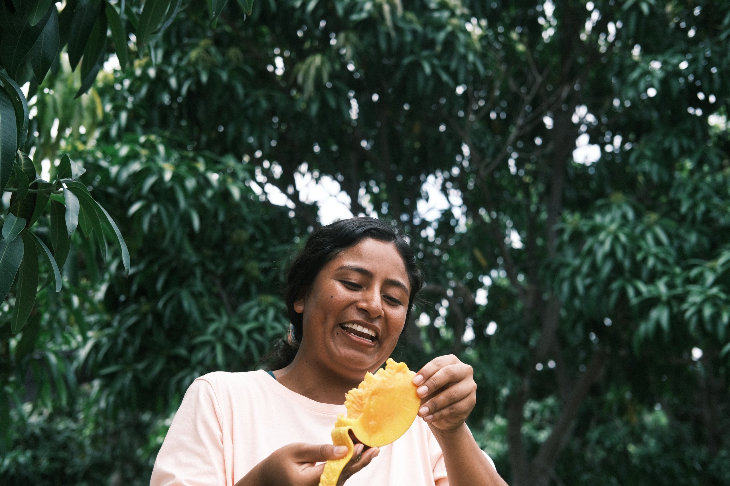 A woman laughs as she holds up a freshly cut mango under the orchard canopy