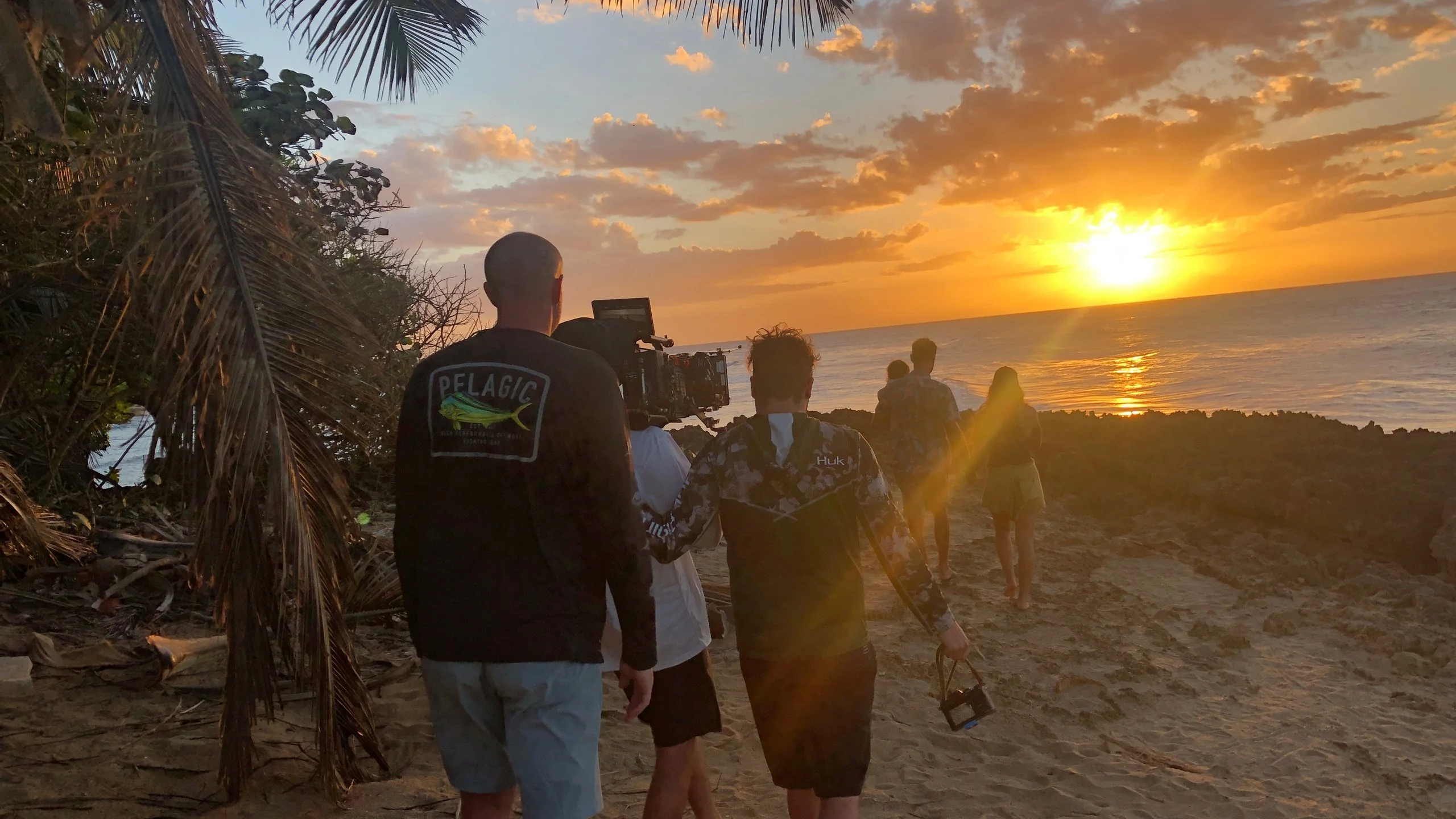 A Spry crew carrying a cinema camera along a beach toward the sea at sunset, palms overhead