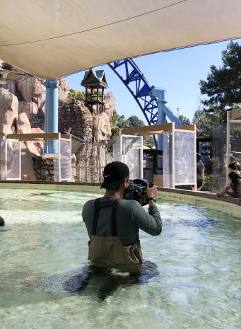 A camera operator in waders films from a shallow pool